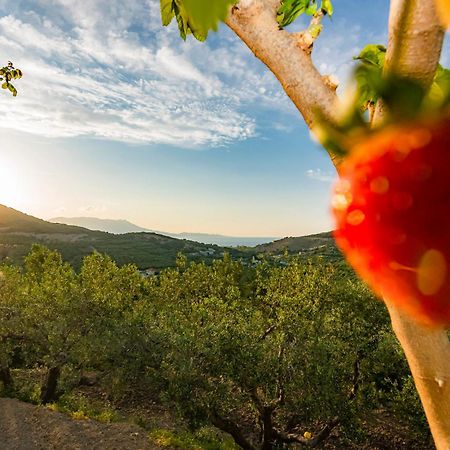 Rikanthos Stone Sea View Apartment Ιι Kíssamos Buitenkant foto