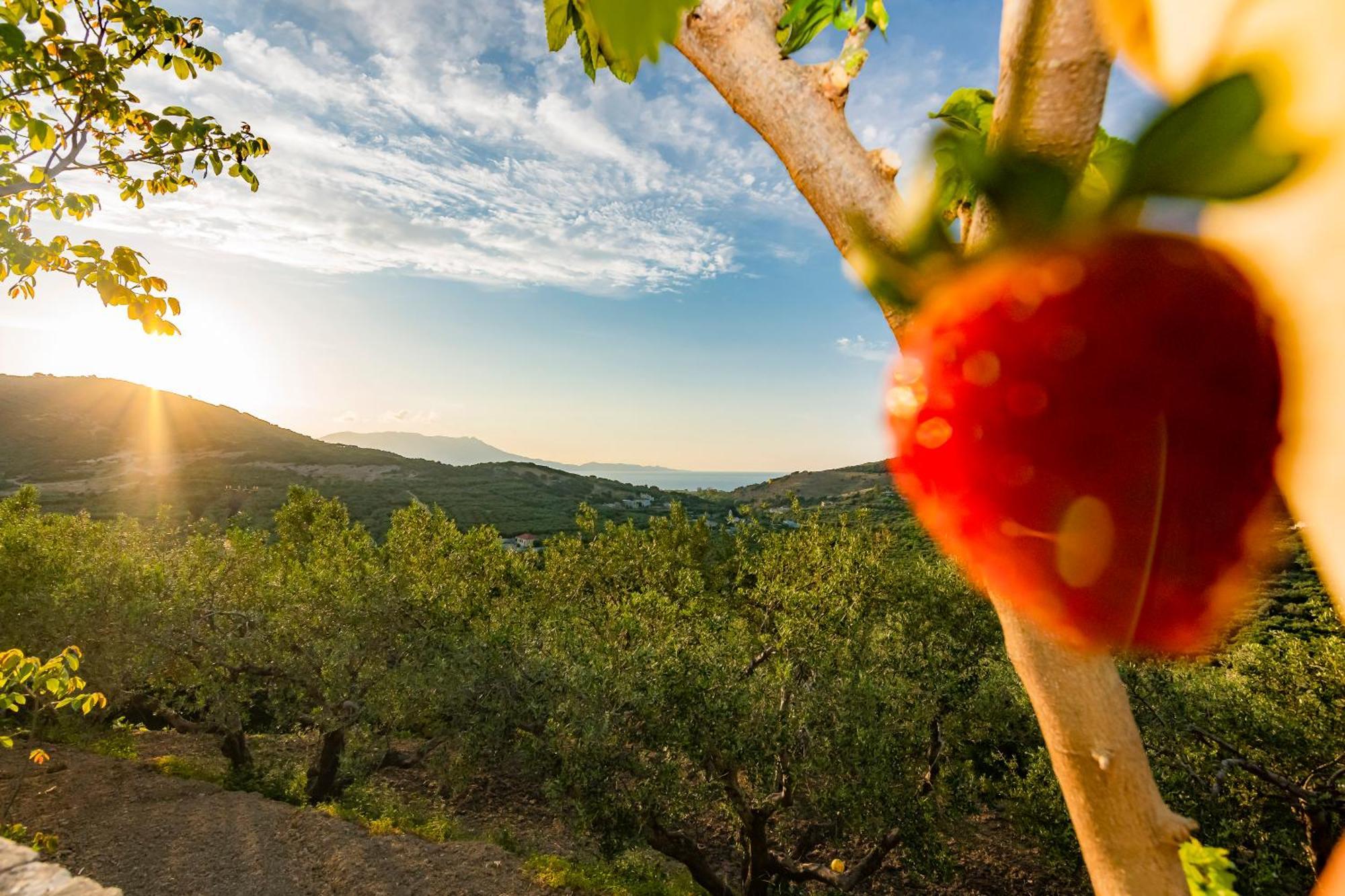 Rikanthos Stone Sea View Apartment Ιι Kíssamos Buitenkant foto